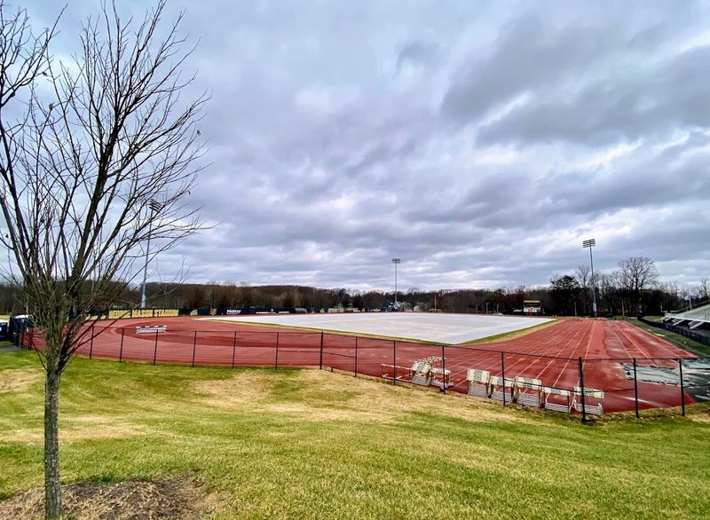 The Stadium Itself: A Compact Venue With Real Character