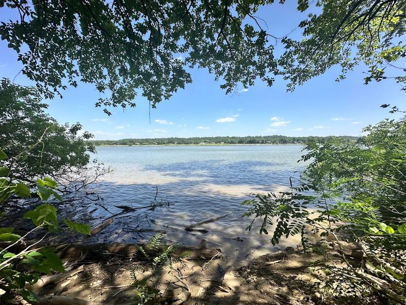 The Story Behind Rose Island and Why It Vanished