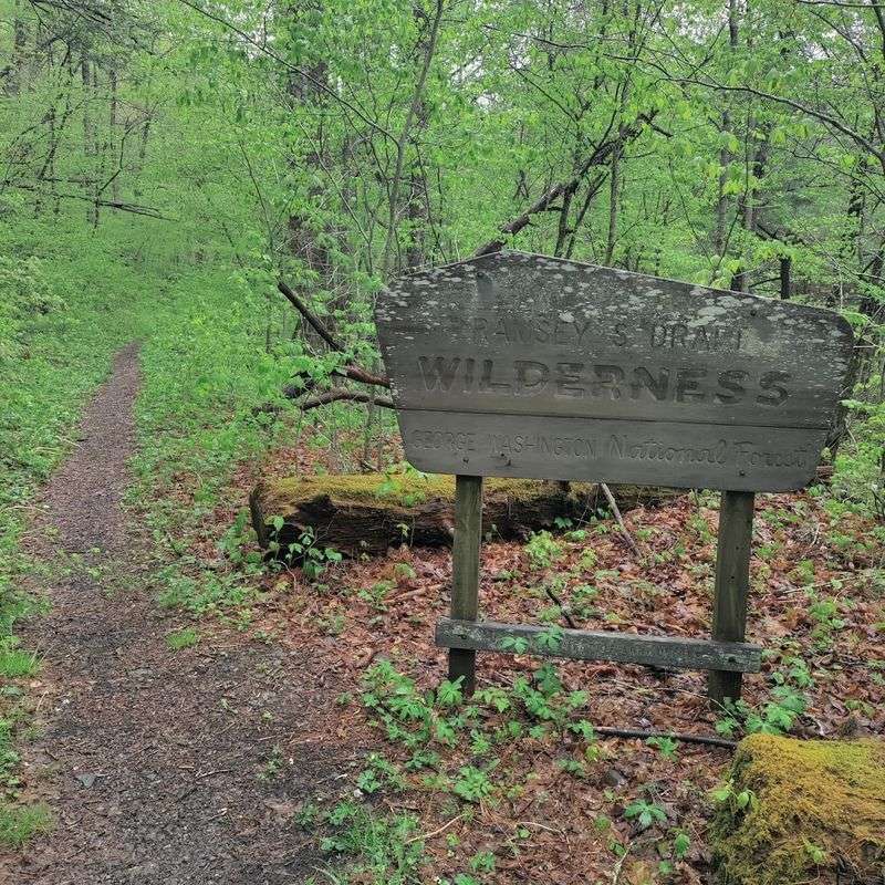 The Story Behind the Wilderness Designation The Story Behind the Wilderness Designation