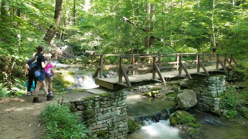 The Streamside Trail That Steals Your Heart Immediately