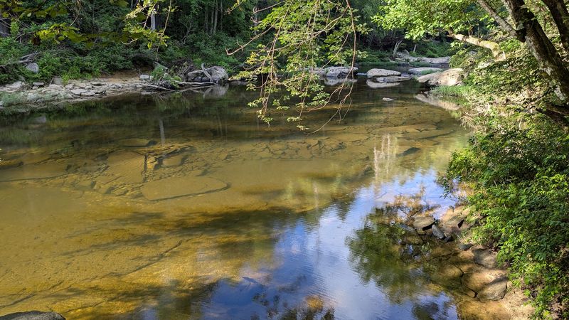 The Swimming Hole Itself The Swimming Hole Itself