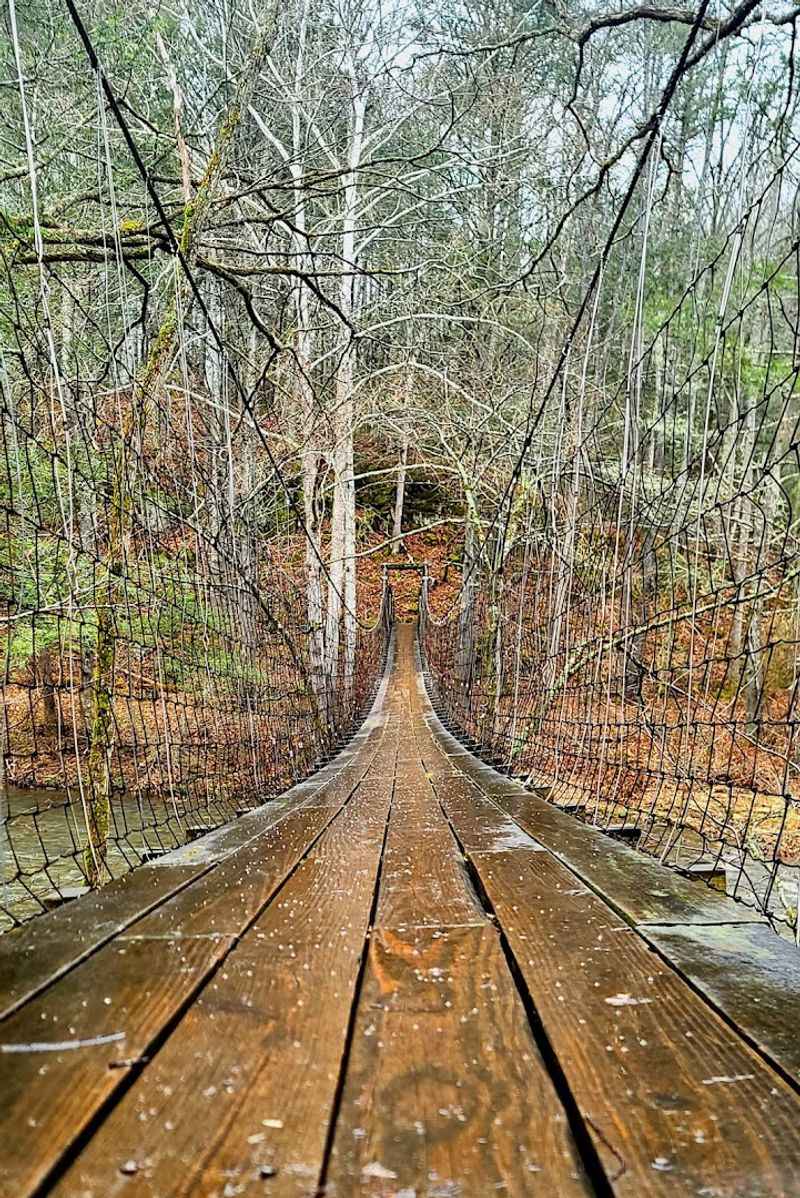 The Swinging Bridge and Its Storied Past The Swinging Bridge and Its Storied Past