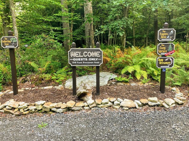 The TREEmendous Trail, a Private Hike Worth Every Step