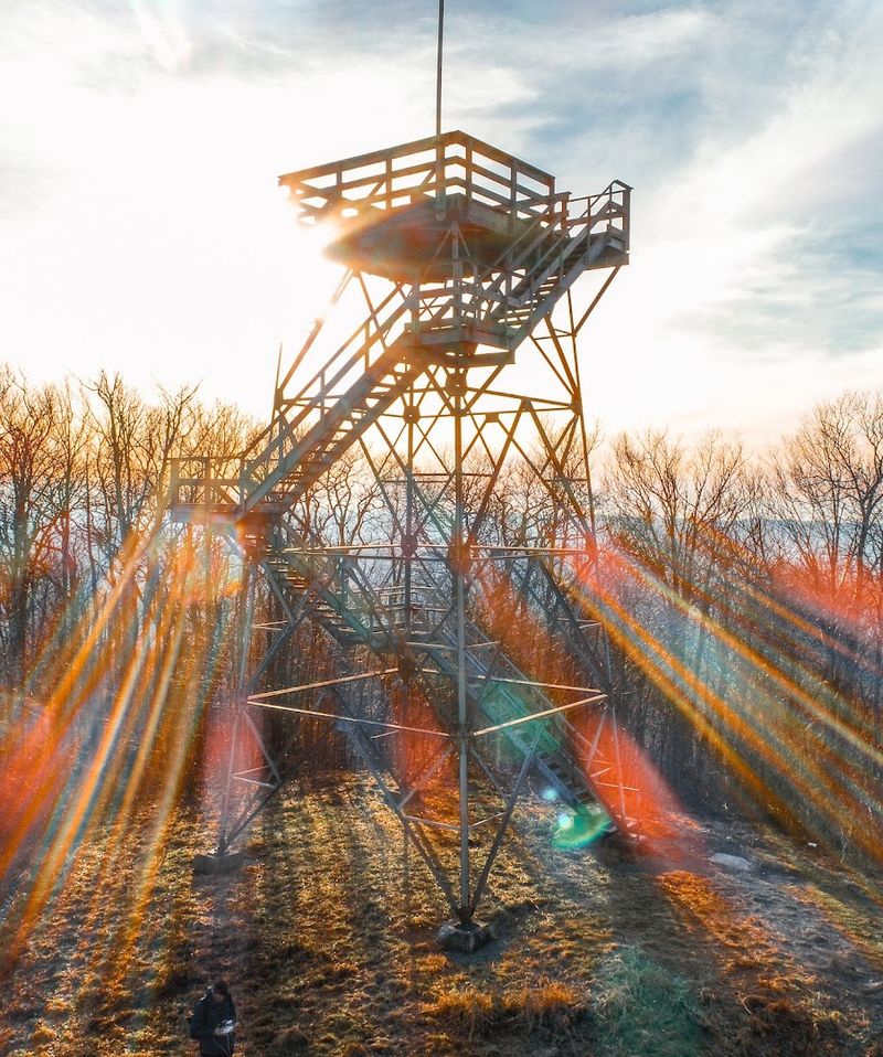 The Tower's Enduring Legacy