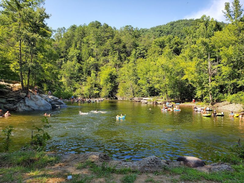 The Townsend Y: Where the River Becomes a Natural Playground The Townsend Y: Where the River Becomes a Natural Playground