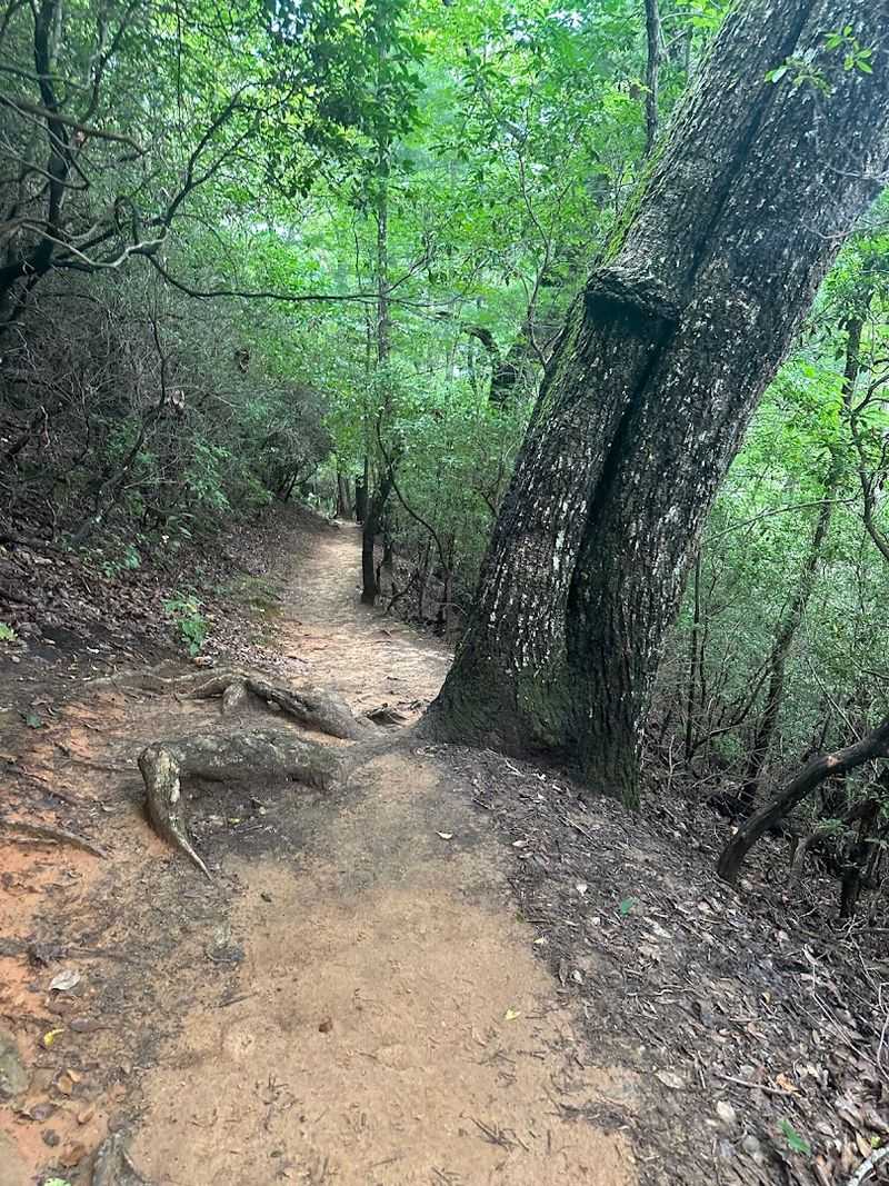 The Trail Down: What to Expect on the Hike In The Trail Down: What to Expect on the Hike In