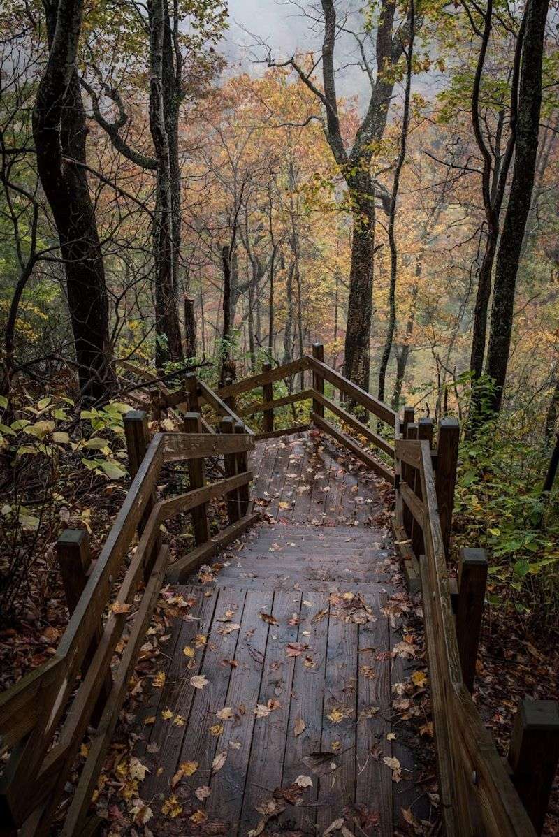 The Trail Experience: Easy Enough for Almost Everyone The Trail Experience: Easy Enough for Almost Everyone
