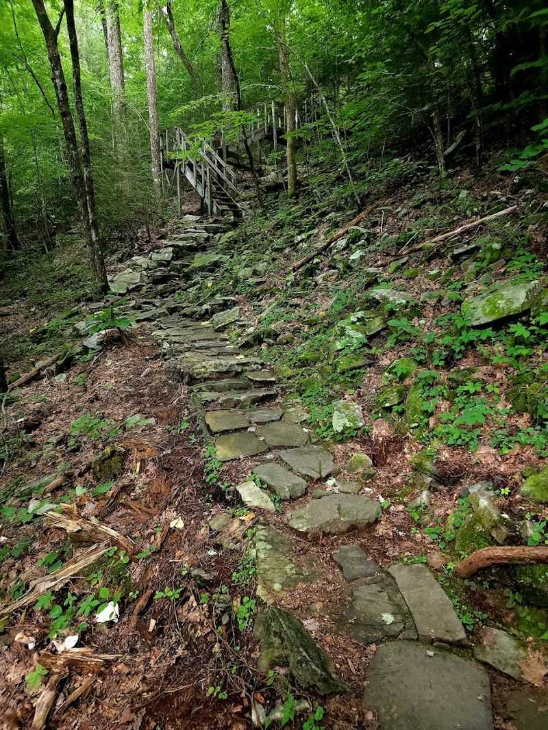 The Trail Itself, Easy Enough for Almost Everyone