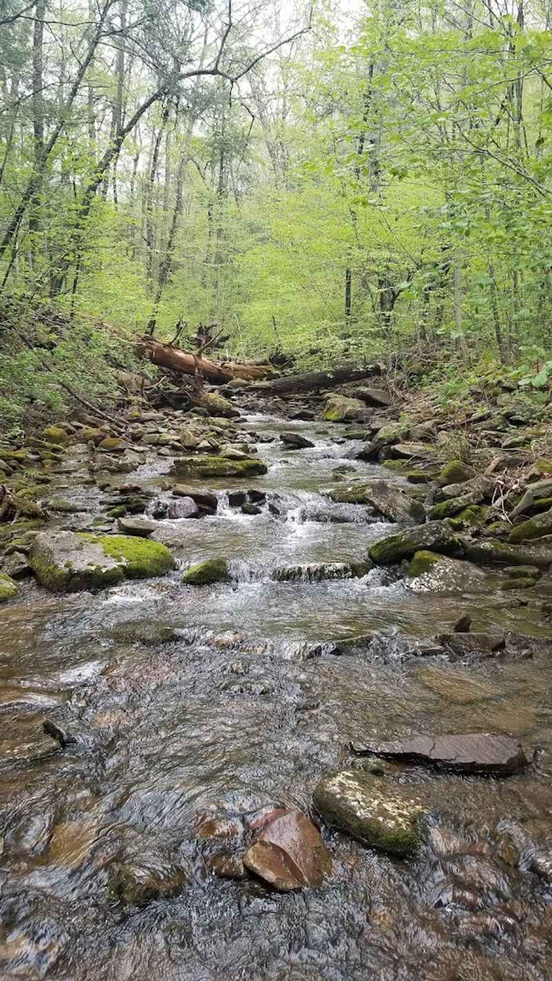 The Trail Itself Is a Full-On Adventure The Trail Itself Is a Full-On Adventure