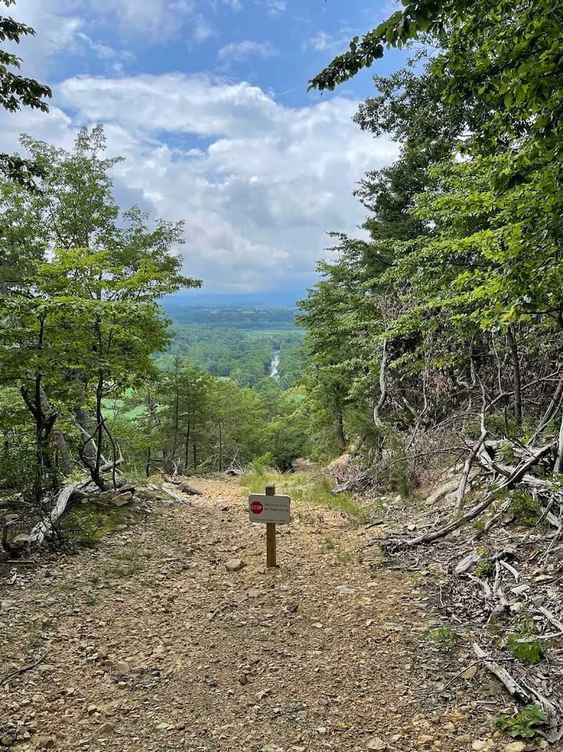 The Trail System and What to Expect on the Paths The Trail System and What to Expect on the Paths