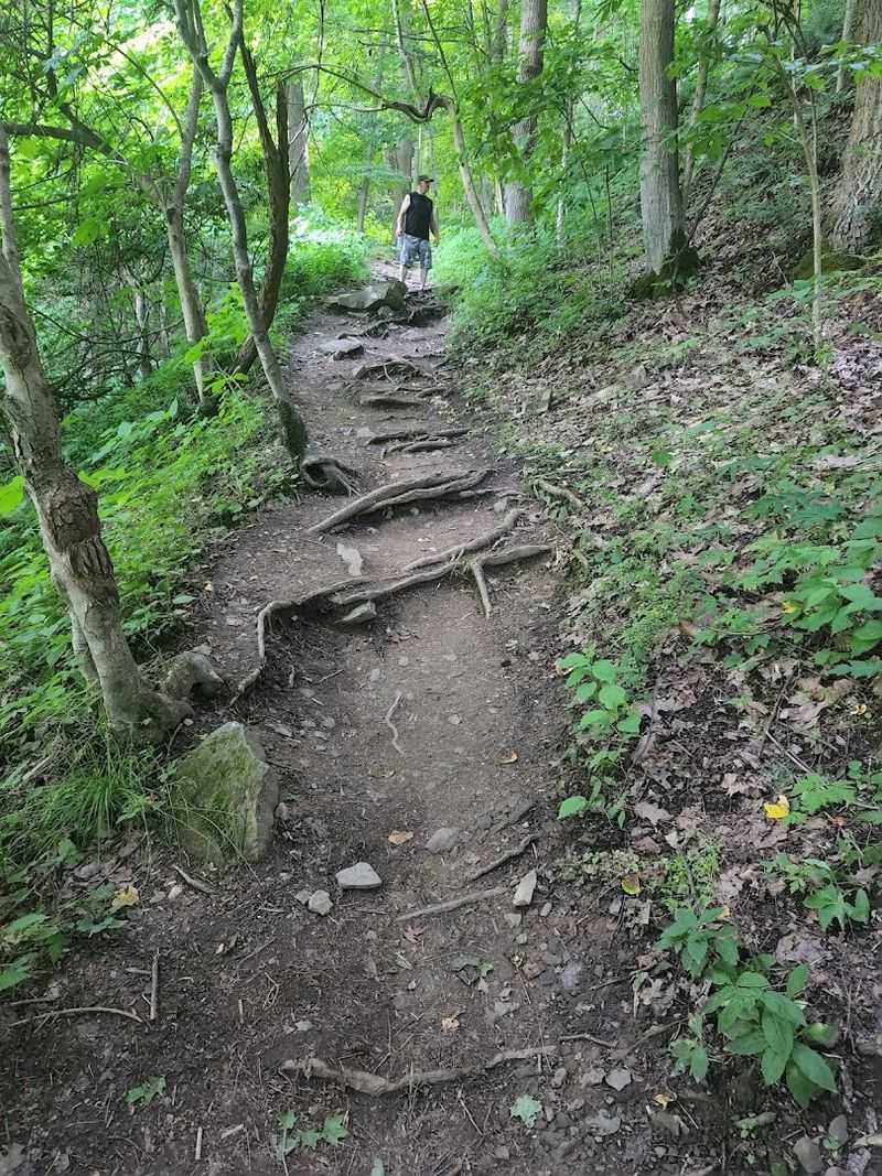 The Trail That Tests Your Legs And Rewards Your Curiosity The Trail That Tests Your Legs And Rewards Your Curiosity