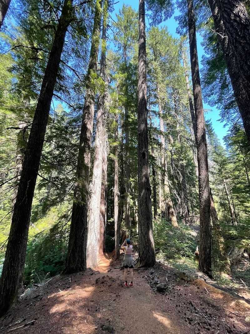 The Trailhead Itself, Where the Adventure Begins