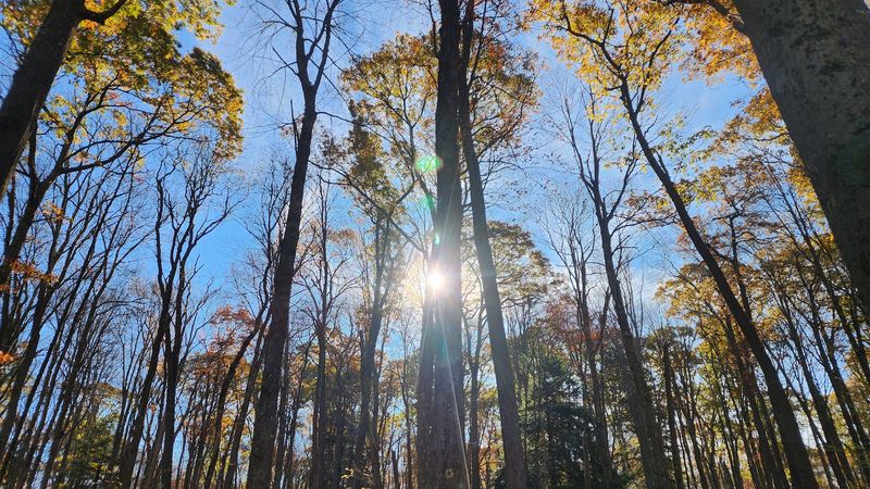 The Trailhead That Almost Feels Like a Secret