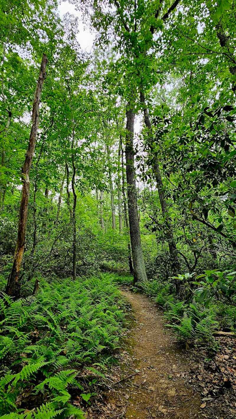The Trails That Get You There The Trails That Get You There