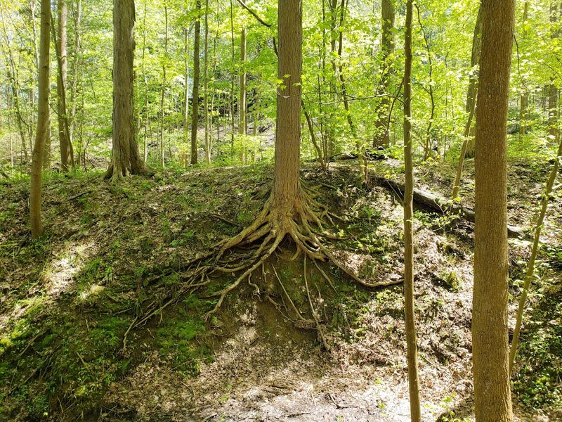 The Trails That Wrap Around the Castle and Keep Going