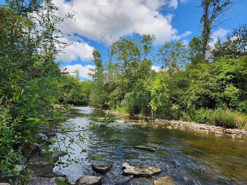 The Trails, the River, and the Wild Life In Between The Trails, the River, and the Wild Life In Between