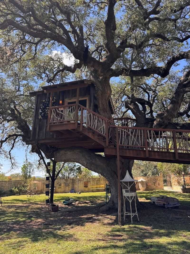 The Treehouse Built by a TV Legend Inside a 450-Year-Old Oak