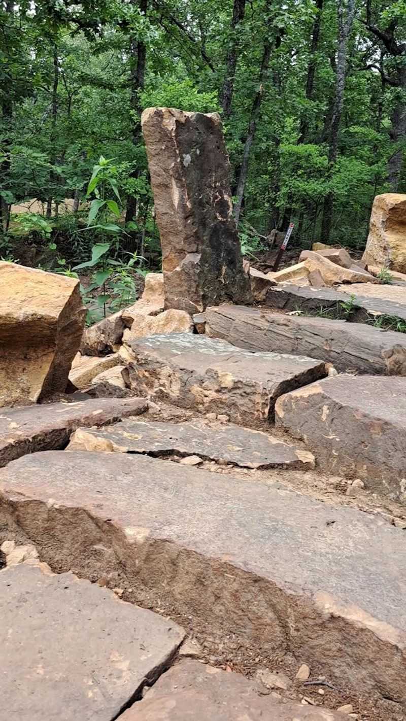 The Trees Make The Whole Place Feel Older The Trees Make The Whole Place Feel Older