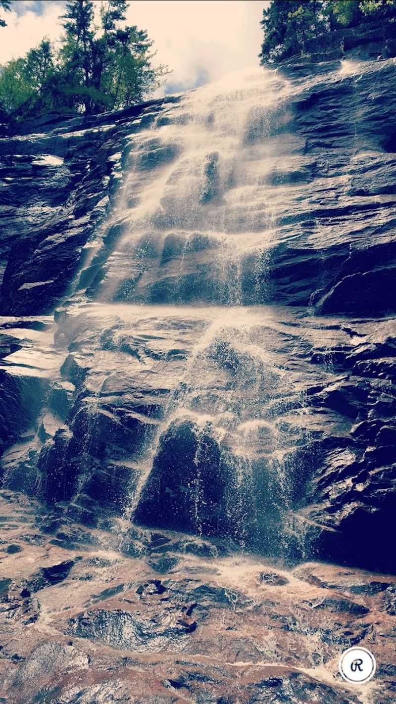 The Trek to Tranquility on the Arethusa Falls Trail