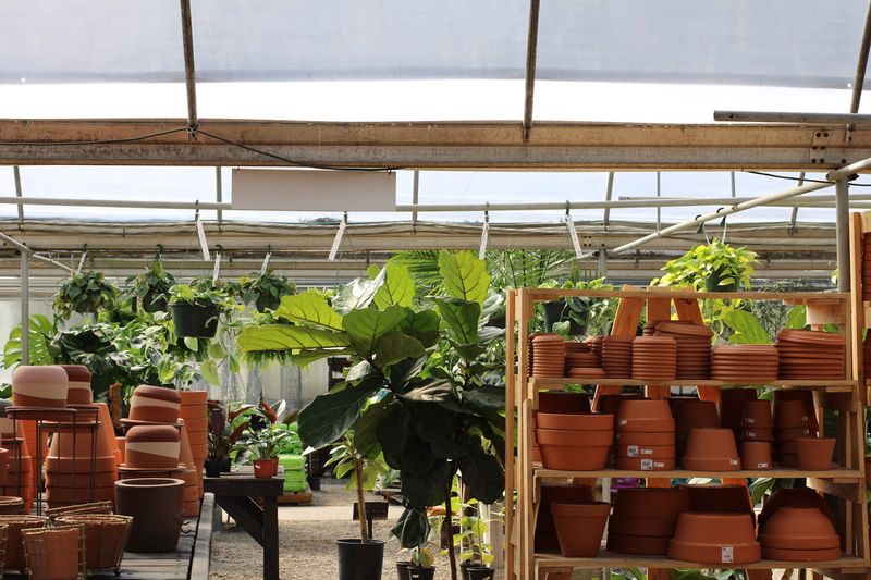 The Tropical Greenhouse That Transports You Somewhere Else