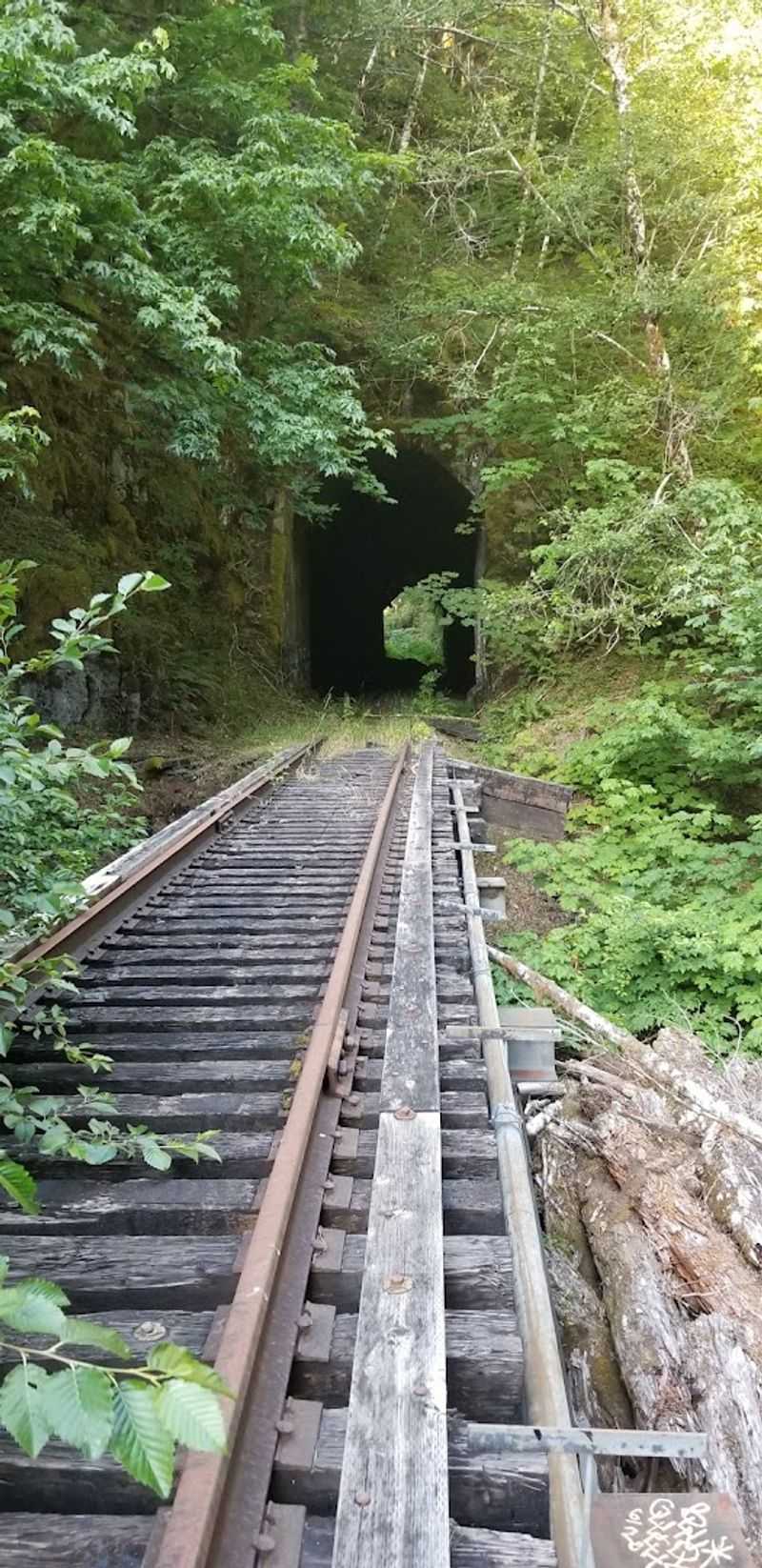 The Tunnels Hidden Inside the Mountain