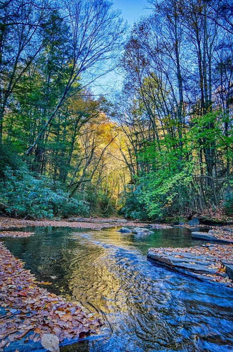 The Untouched Wilderness Beckons