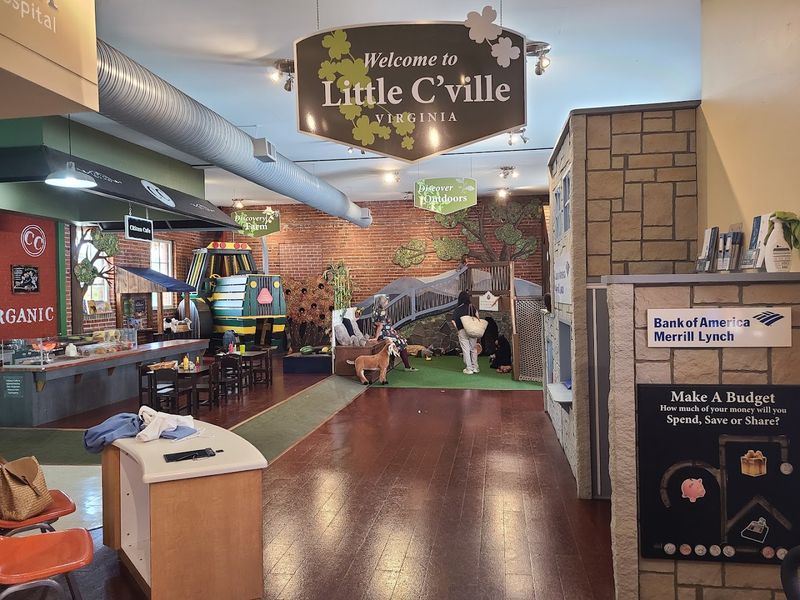 The Virginia Discovery Museum and What Makes It Special The Virginia Discovery Museum and What Makes It Special