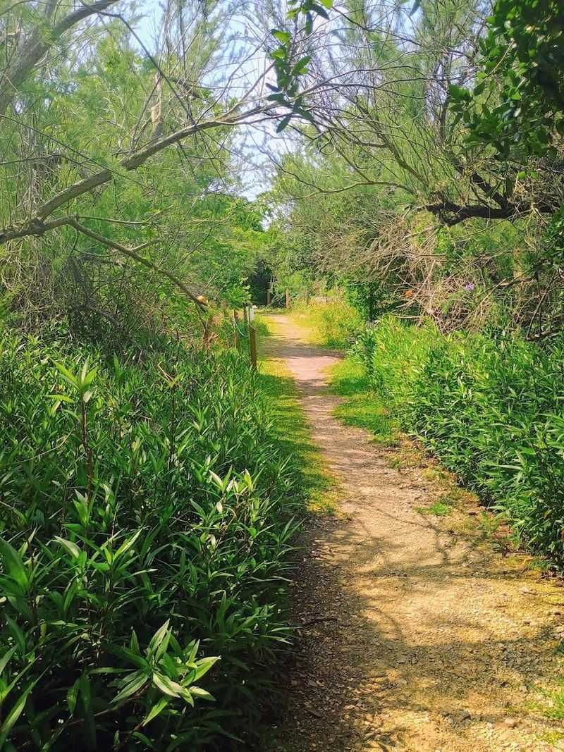 The Walking Trails and What Makes Them Worth Your Time
