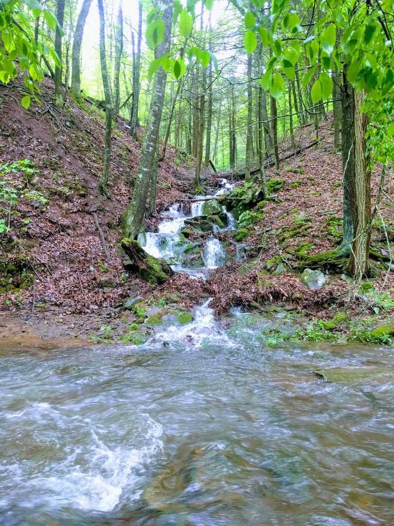 The Water Vanishes Near McCauley And Reappears As The Cacapon River The Water Vanishes Near McCauley And Reappears As The Cacapon River