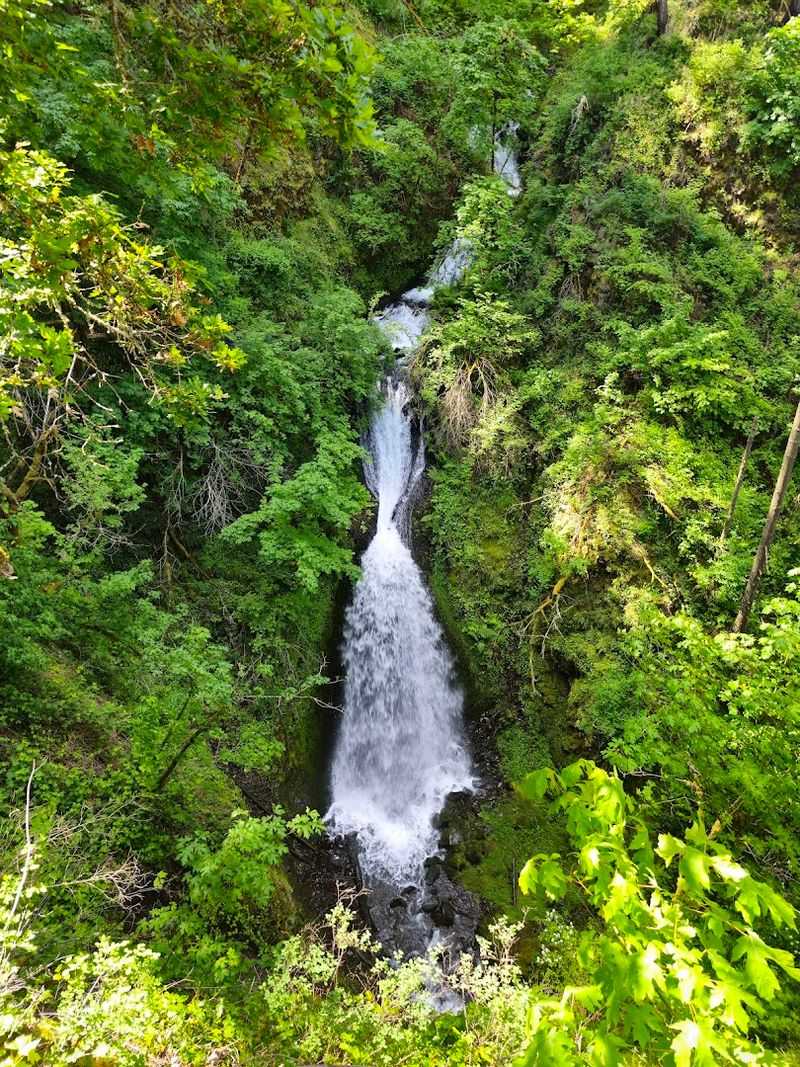 The Waterfall Itself: Two Tiers of Pure Drama