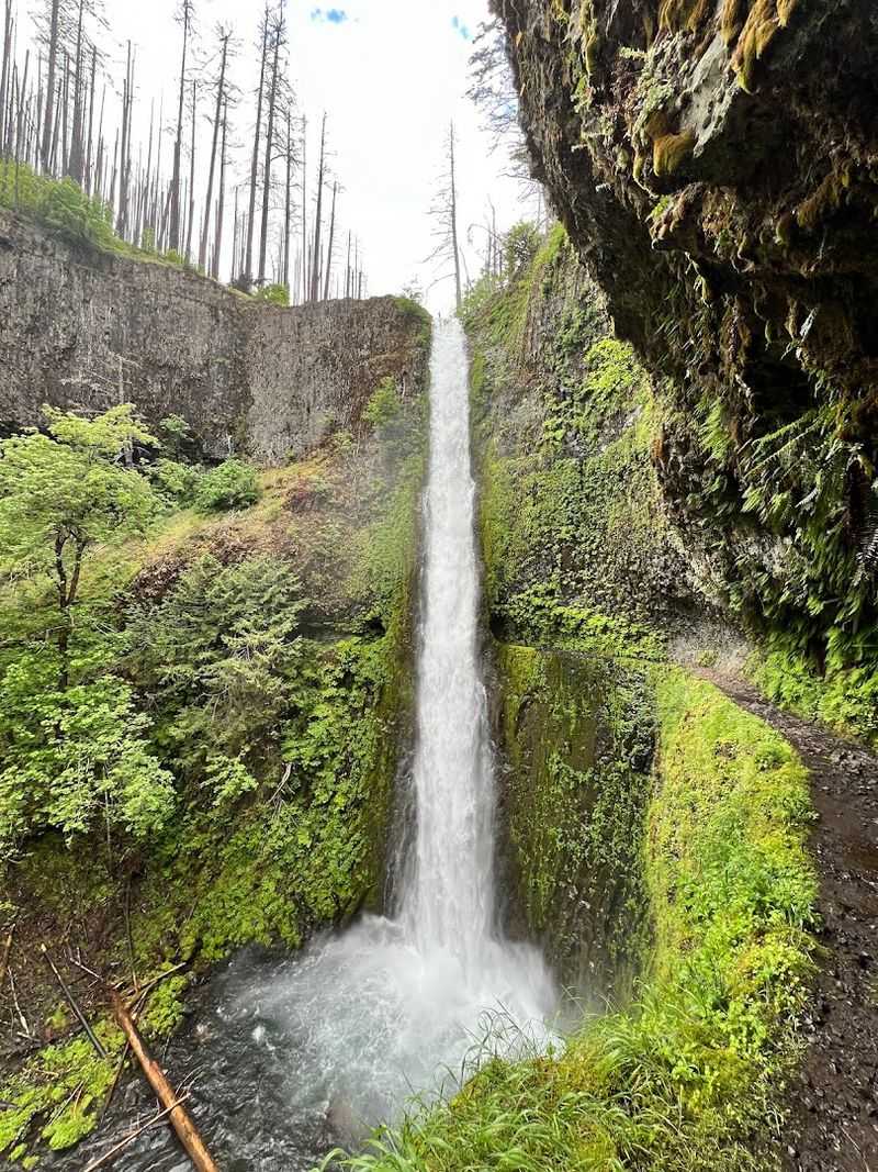 The Waterfall Parade Before You Even Reach the Main Event