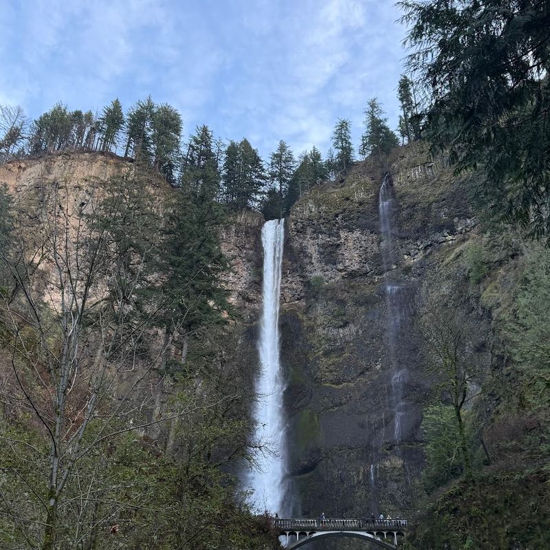 The Waterfall Trail and Benson Bridge