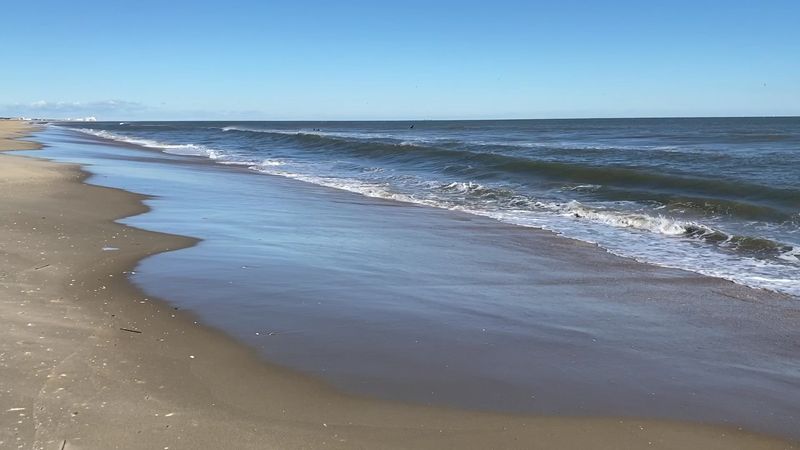 The Wide Open Beach That Actually Has Room for You