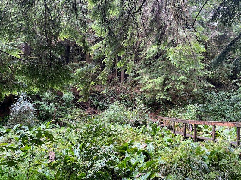 The Wooden Bridge That Makes the Whole Loop Feel Complete
