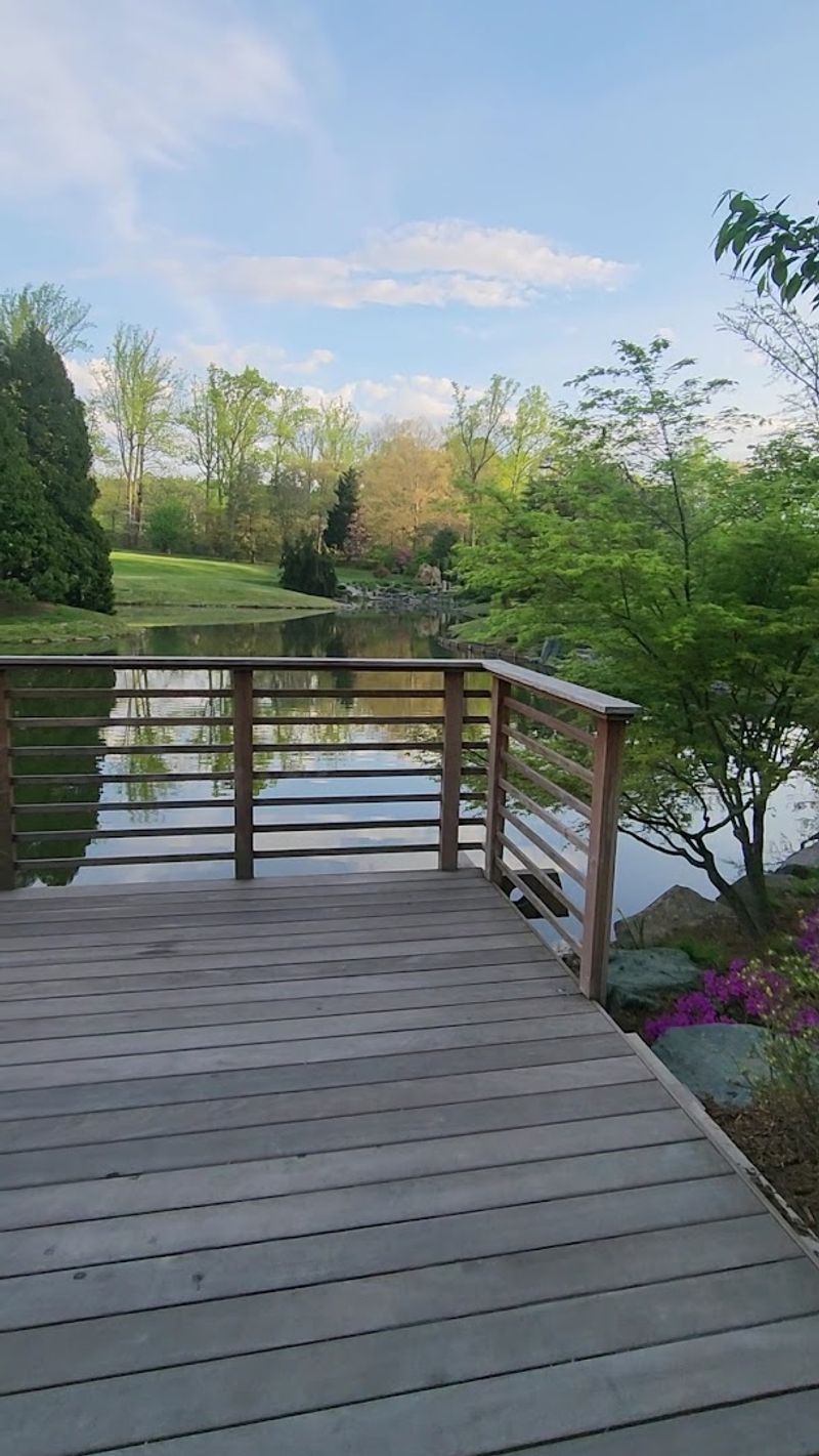 The Woodland Walk, Bald Cypress and Boardwalk Through a Forested Wetland