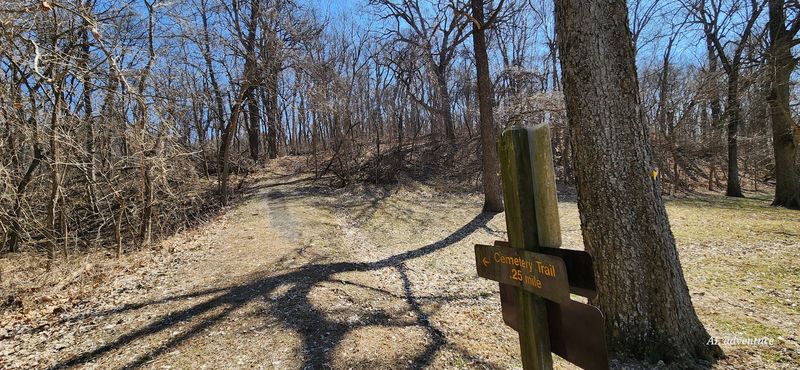 Then The Bottomland Woods Take Over