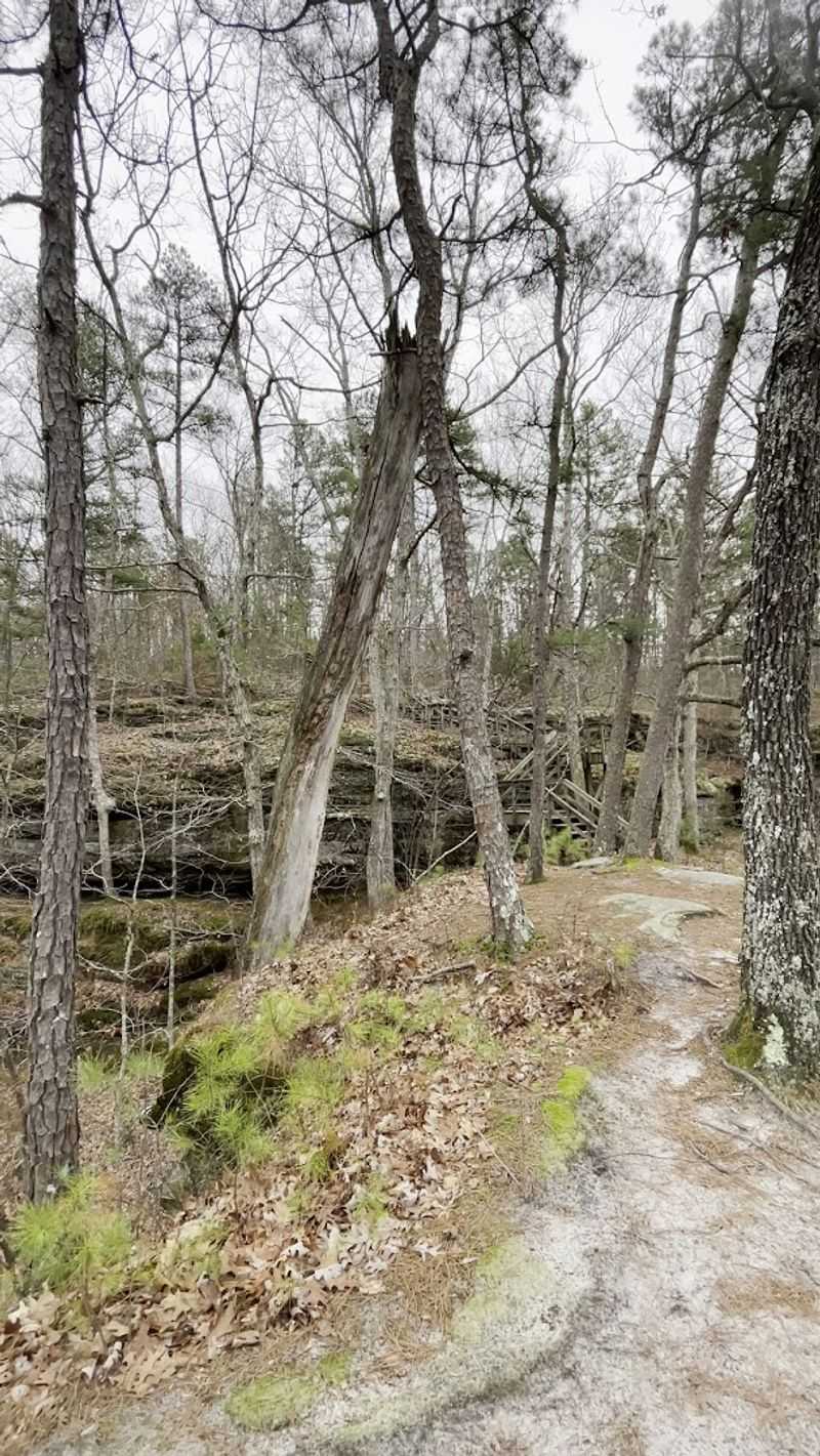 There Is Another Trail If You Want More Woods There Is Another Trail If You Want More Woods