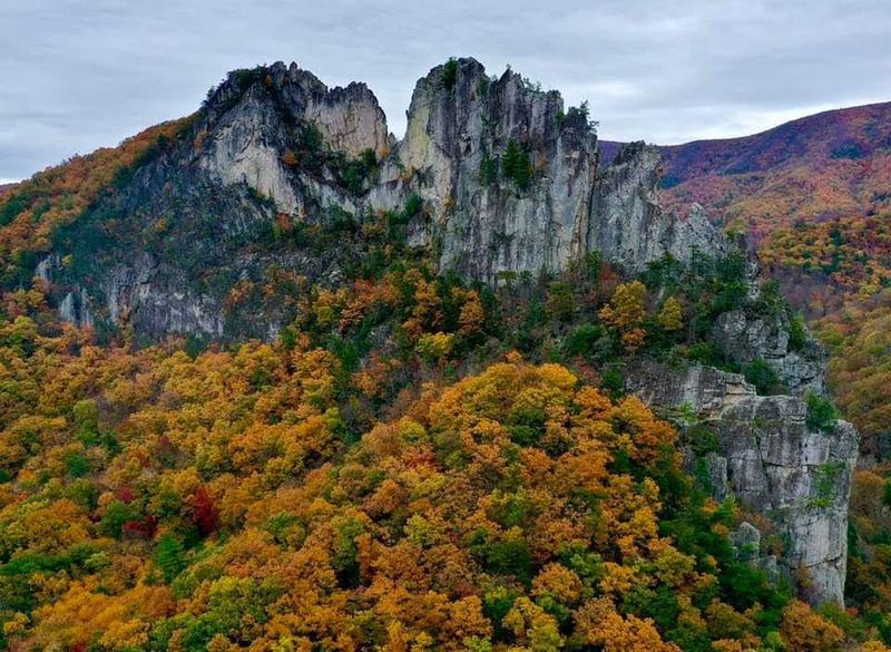 This Forest Is Not Just Big It Is Legendary This Forest Is Not Just Big It Is Legendary