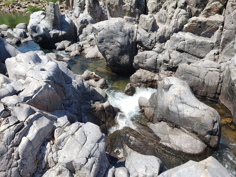 This Is Not A Regular Swim Spot This Is Not A Regular Swim Spot
