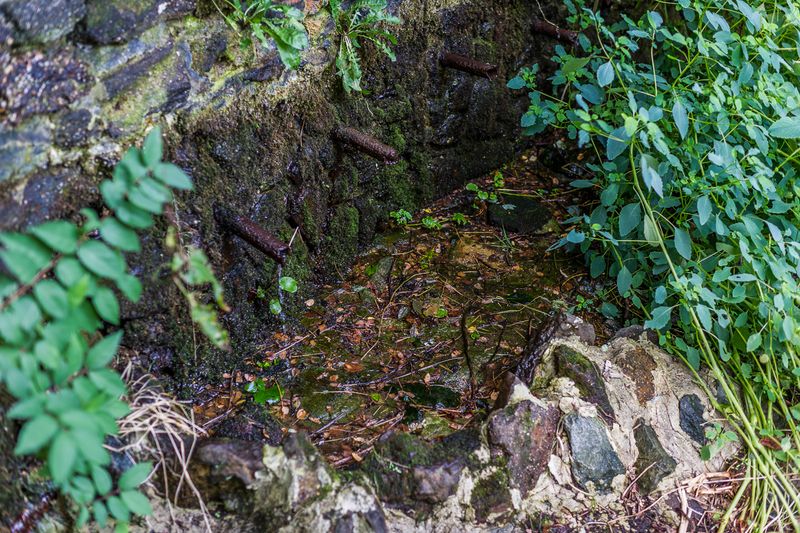 This Little Spring Rewards Curious Hikers