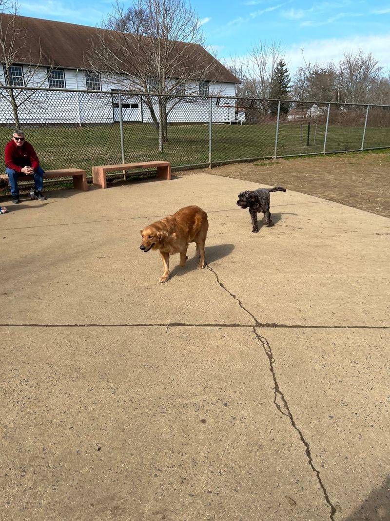 Thompson Park Off-Leash Dog Area