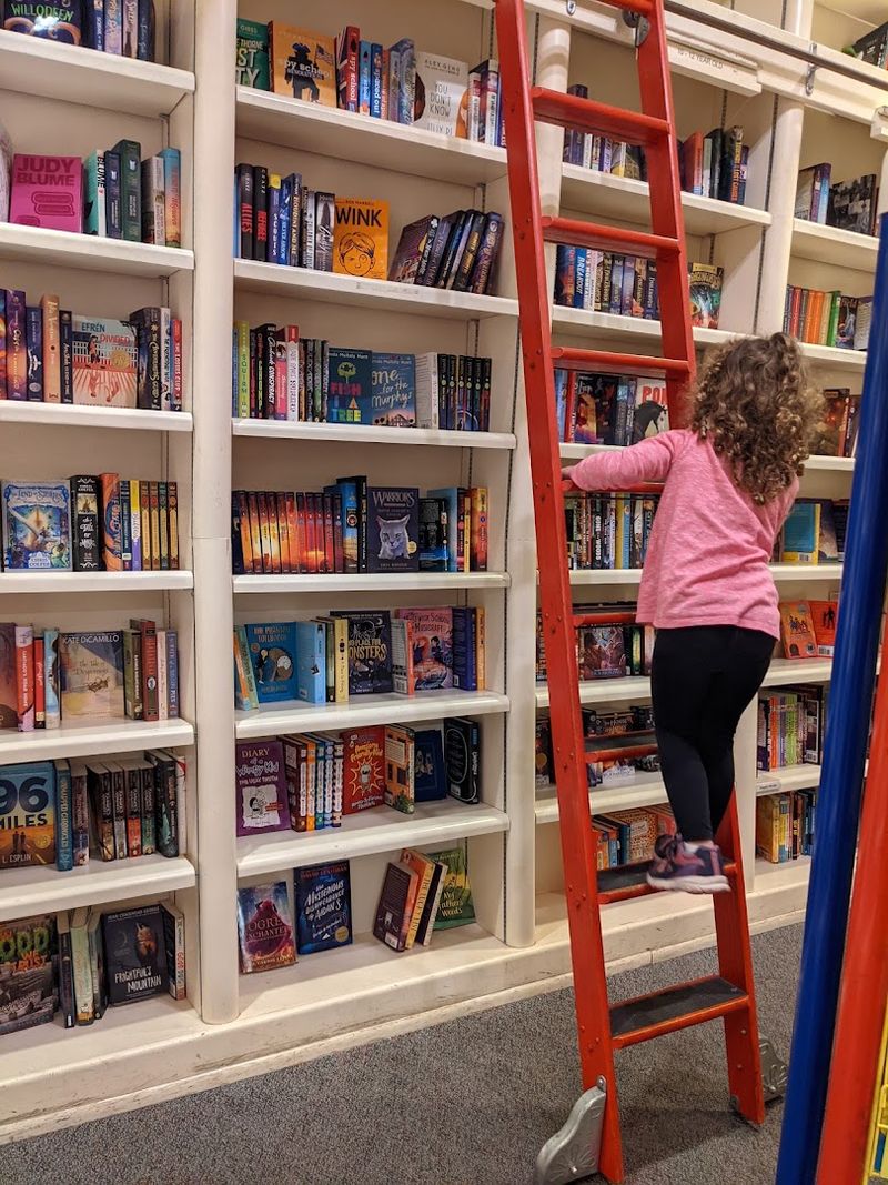 Those Rolling Library Ladders Those Rolling Library Ladders