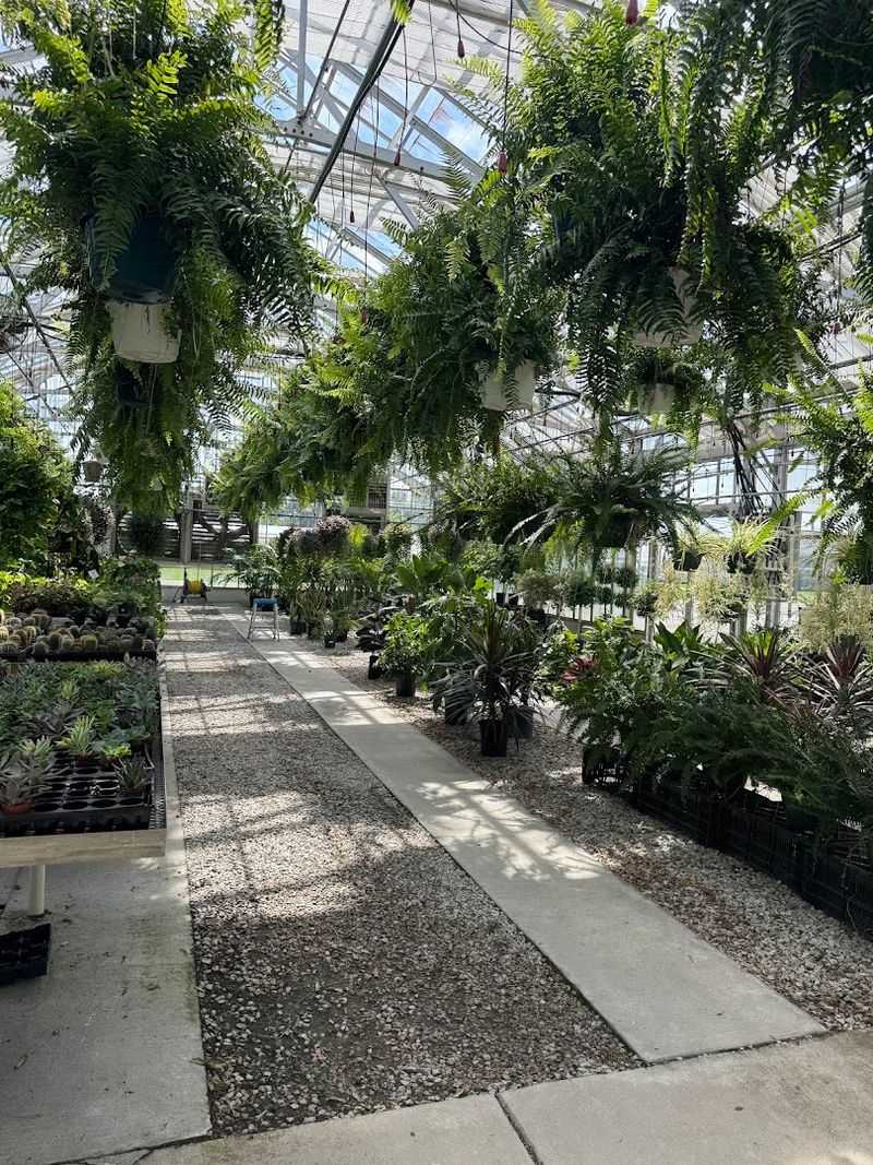 Three Generations Built This Greenhouse Legacy Three Generations Built This Greenhouse Legacy