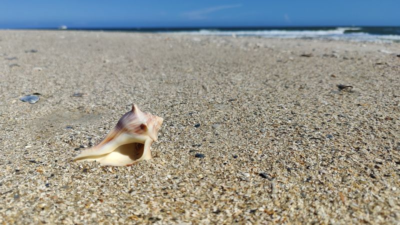 Tides, Timing, and the Rhythm of the Preserve