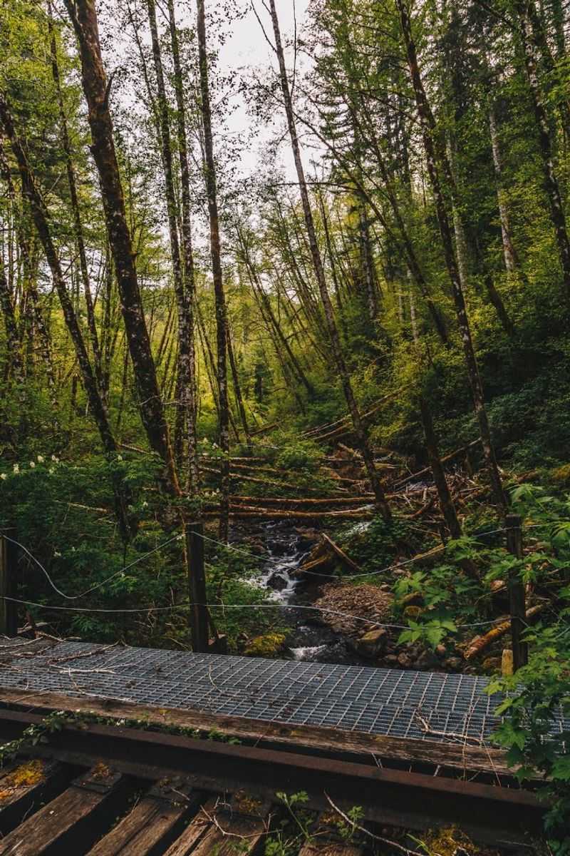 Tillamook, the Trail's Western Gateway