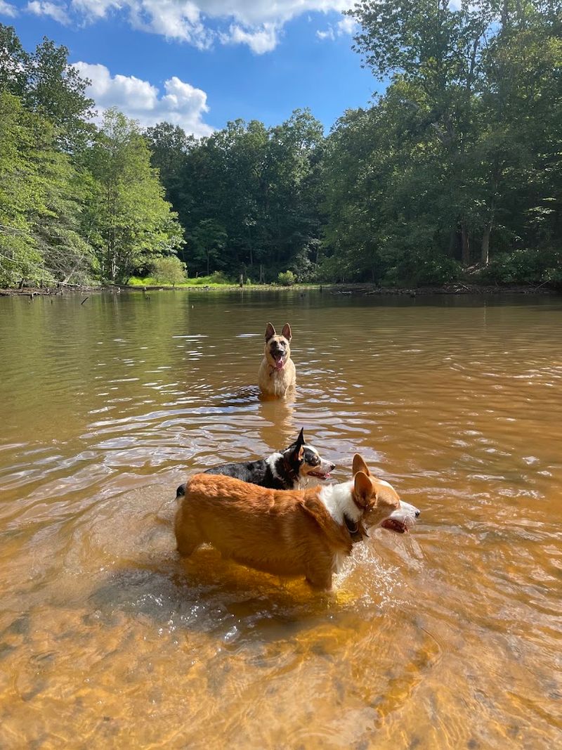 Timber Creek Dog Park