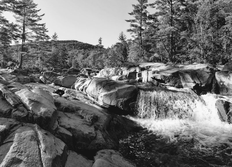 Timing Your Visit to Catch Lower Falls at Its Best
