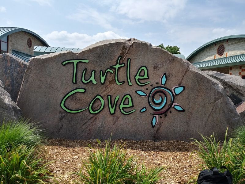 Tips for Making the Most of Your Turtle Town Experience