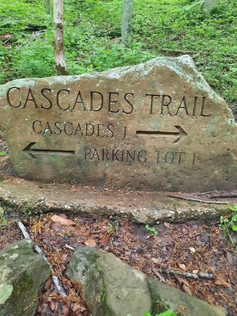 Tips for Planning Your Visit to Cascade Falls Trail