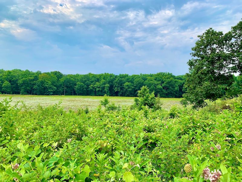 Tips for Planning Your Visit to Patuxent Research Refuge